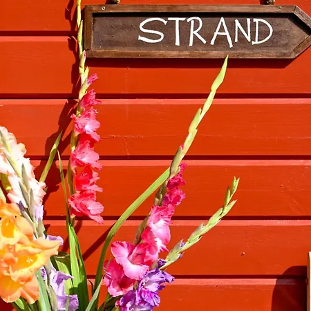 Fehmarn Ostseeferien Landliebe Fehmarn 117 * Avendorf auf Fehmarn